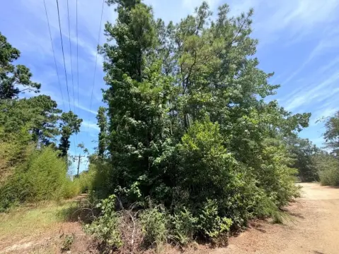 Wooded Land Tract