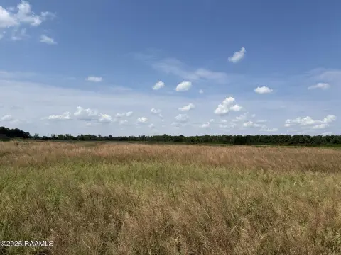 Open Agricultural Land