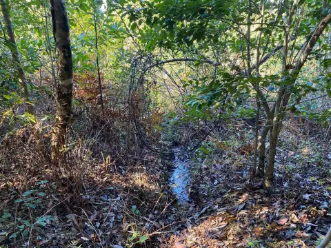 Hunting Land with Creek
