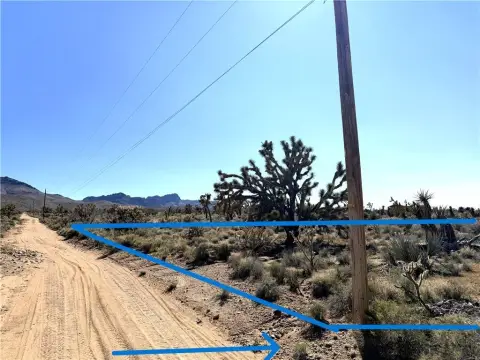 Dolan Springs Land Parcel