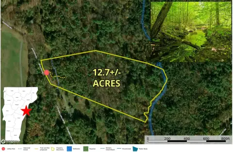Wooded Residential Buildable Land Parcel