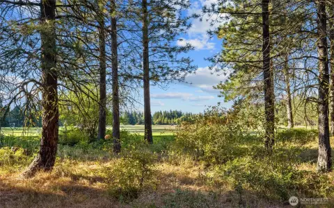 Tumble Creek Homesite with Views