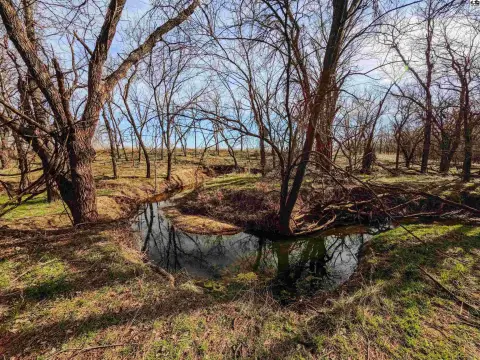 Recreational Hunting Land
