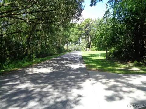 Lecanto Acre Homesite Opportunity