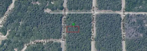 Citrus Springs Corner Lot