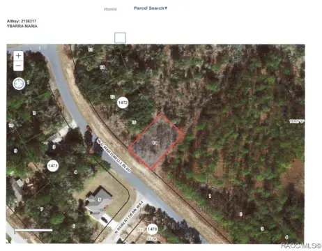 Residential Building Lot in Citrus Springs