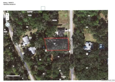 Wooded Lot Near Crystal River