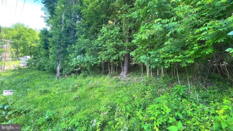 22+ Acres Recreational Land