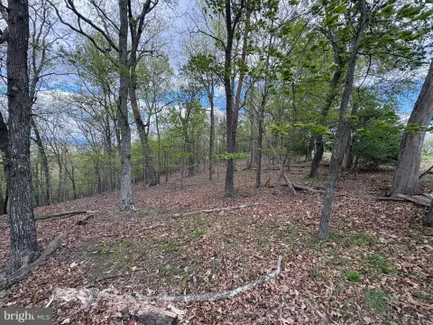 Mountain Land with View Potential