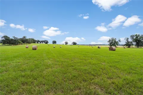 Rolling Pastureland