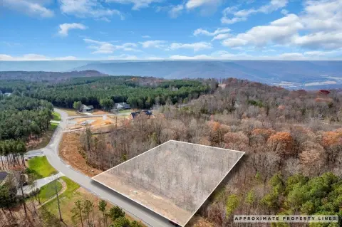 Wooded Homesite in Jasper Highlands