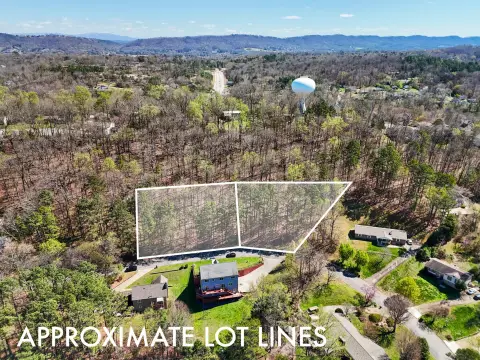 Wooded Lot in Ray Jo Estates