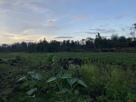 Volcano Agricultural Land For Sale