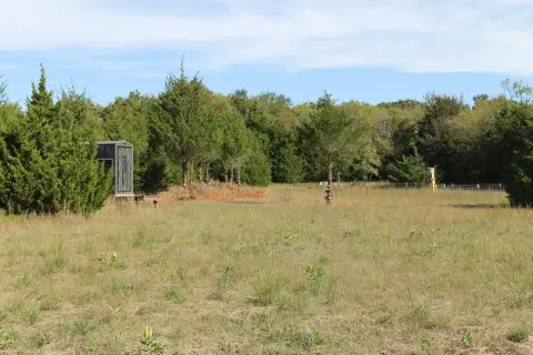 Fenced Recreational Hunting Land