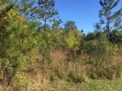Cleared Homesite with Shared Driveway