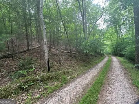 Wooded Residential Land Parcel