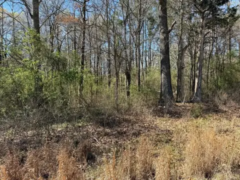 Land for Development in Tupelo