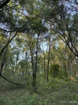 Residential Land in Inverness, FL