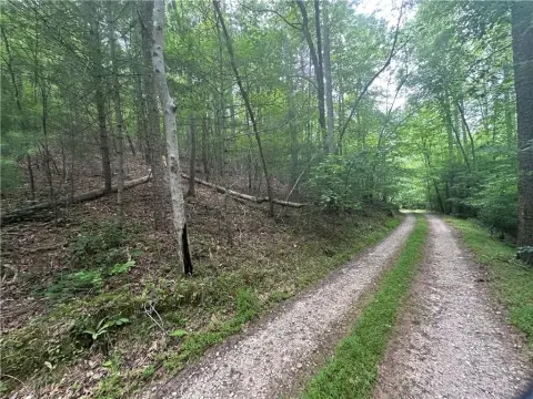Wooded Residential Land Tract