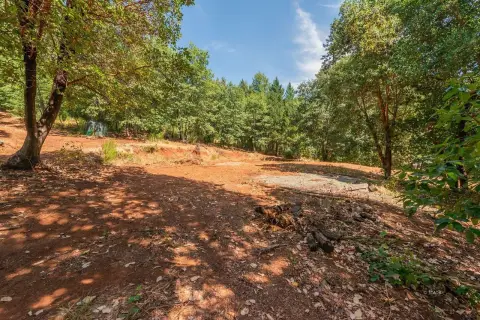 Land in Trinity County