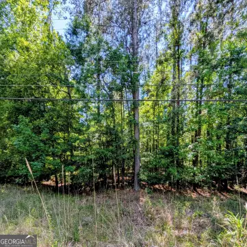 Residential Land Lots