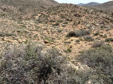 320 Acres of Privacy