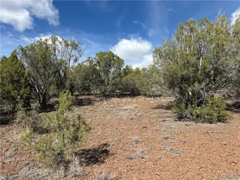 Kingman, AZ Liberty Land