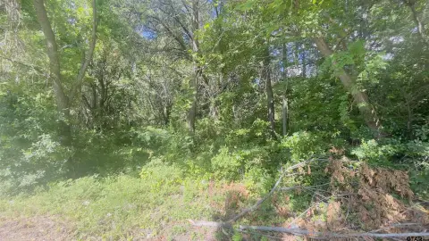 Wooded Recreational Land Tract