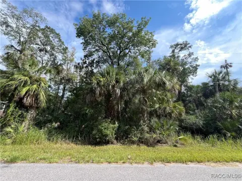 Vacant Land in Old Homosassa