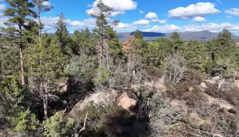 Star Valley Land Parcel