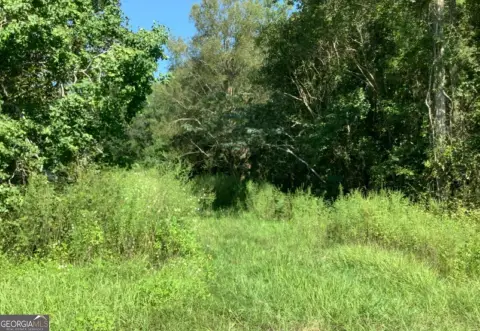 Wooded Land Parcel