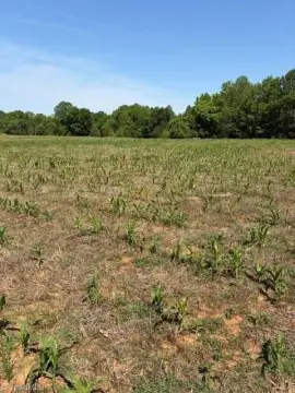 Lexington Land with Natural Springs
