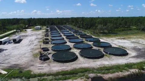 Clewiston Aquaculture Land For Sale