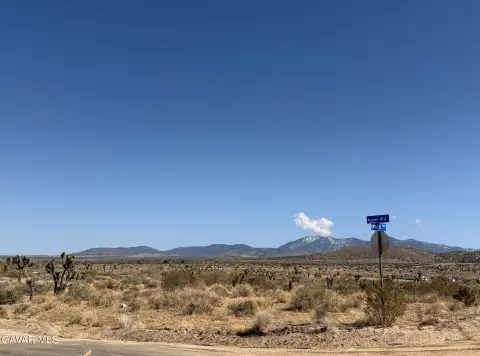 Residential Lot in Pearblossom, CA