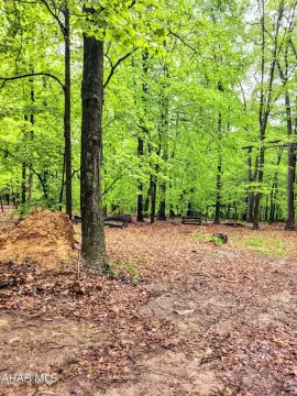 Secluded Land Near Raystown Lake