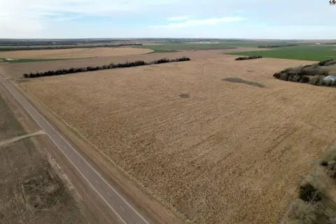 Fertile Cropland with Timbered Shelterbelts