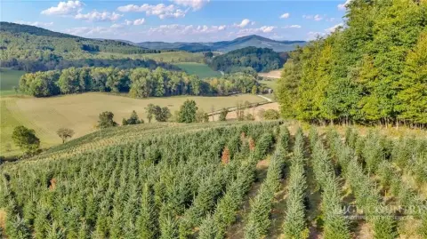 Agricultural Land with Mountain Views