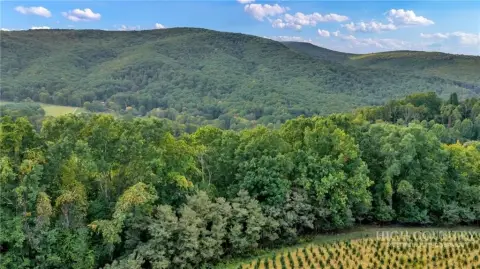 Agricultural Land with Creek