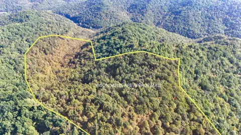 Wooded Hunting Land