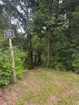 Wooded Recreational Land Parcel