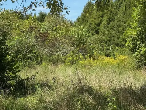 Land in Picturesque Grundy County