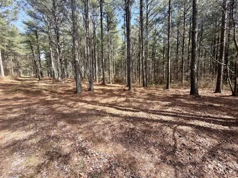 Large Corner Lot in Guild, TN