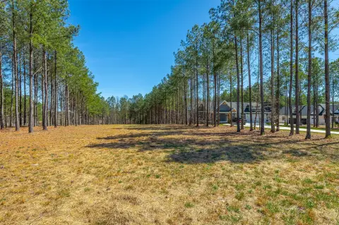 Cleared Homesite in Jasper Highlands