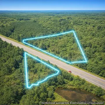 Wooded Land Parcel