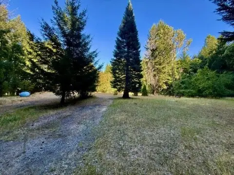 Honeydew Land with Cannabis Potential