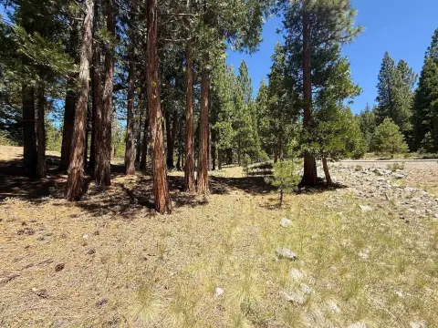 Wooded Mountain Homesite