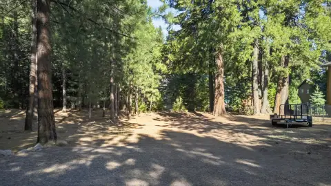 Gently Sloping Lake Recreation Lot
