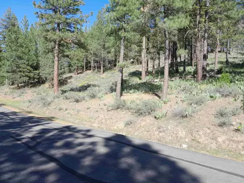Private Cul-de-Sac Estate Lot