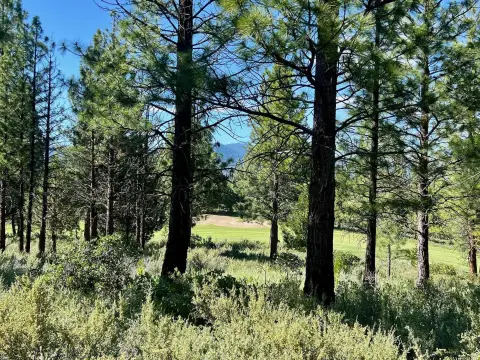 Recreation Homesite Land