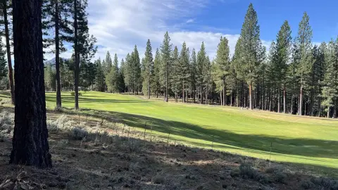 Treed Sloping Homesite Land